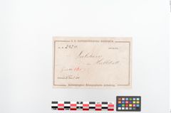 Etiketten zu Bronzebrillenfibel (NHMW-PRAE-024211)